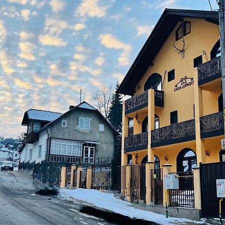 Отель Casa Lupascu Ватра-Дорней Экстерьер фото