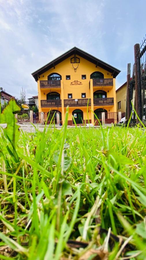 Отель Casa Lupascu Ватра-Дорней Экстерьер фото