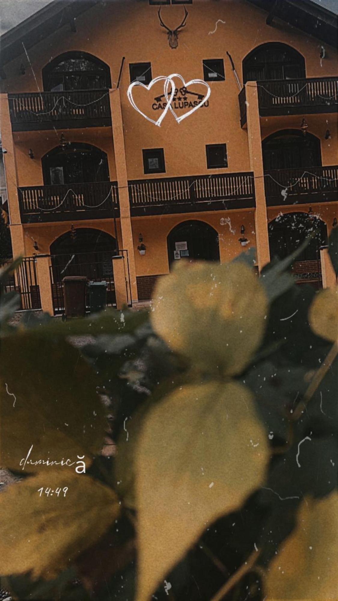 Отель Casa Lupascu Ватра-Дорней Экстерьер фото